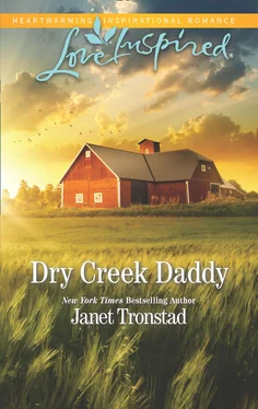 Janet Tronstad Dry Creek Daddy обложка книги