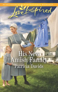 Patricia Davids His New Amish Family обложка книги