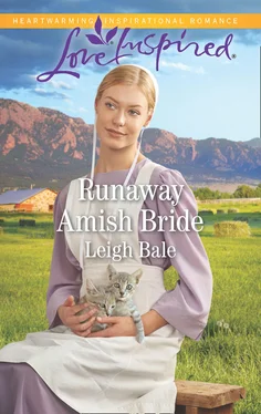 Leigh Bale Runaway Amish Bride обложка книги