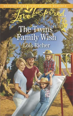 Lois Richer The Twins' Family Wish обложка книги