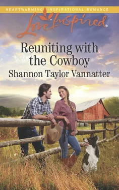Shannon Vannatter Reuniting With The Cowboy обложка книги