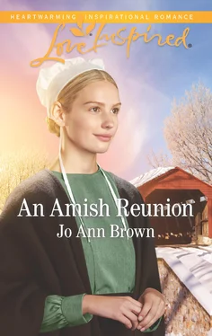 Jo Brown An Amish Reunion обложка книги