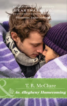 T. McClure An Allegheny Homecoming обложка книги