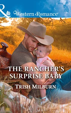 Trish Milburn The Rancher's Surprise Baby обложка книги