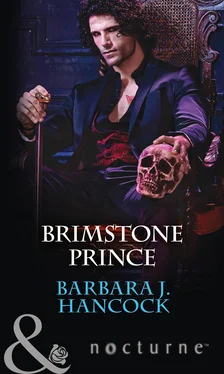 Barbara Hancock Brimstone Prince обложка книги