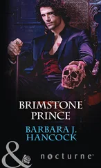Barbara Hancock - Brimstone Prince