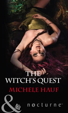 Michele Hauf The Witch's Quest обложка книги