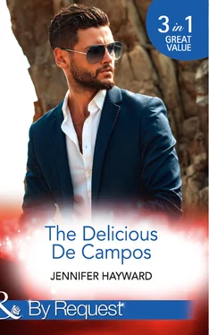 Jennifer Hayward The Delicious De Campos: The Divorce Party обложка книги