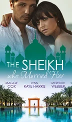 Maggie Cox - The Sheikh Who Married Her - One Desert Night / Strangers in the Desert / Desert Doctor, Secret Sheikh