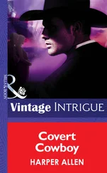 Harper Allen - Covert Cowboy