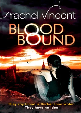 Rachel Vincent Blood Bound обложка книги