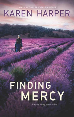 Karen Harper Finding Mercy обложка книги