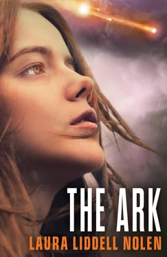 Laura Nolen The Ark обложка книги