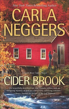 Carla Neggers Cider Brook обложка книги