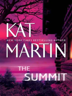 Kat Martin The Summit обложка книги