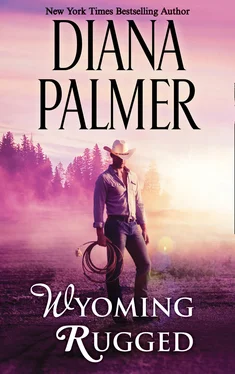 Diana Palmer Wyoming Rugged обложка книги