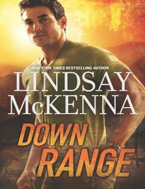 Lindsay McKenna Down Range обложка книги