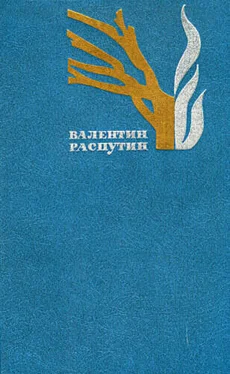 Валентин Распутин Встреча обложка книги