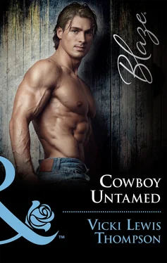 Vicki Thompson Cowboy Untamed обложка книги