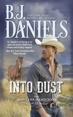 B.J. Daniels Into Dust обложка книги