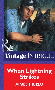 Aimee Thurlo When Lightning Strikes обложка книги