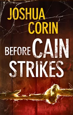 Joshua Corin Before Cain Strikes обложка книги