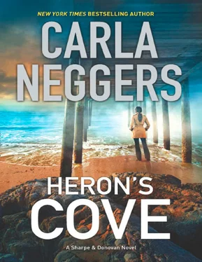 Carla Neggers Heron's Cove обложка книги