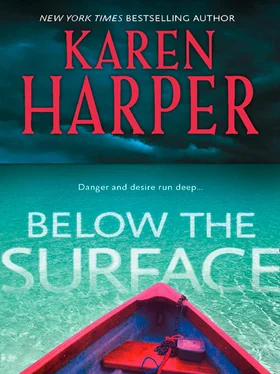 Karen Harper Below The Surface обложка книги