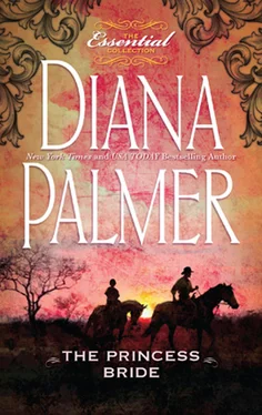 Diana Palmer The Princess Bride обложка книги