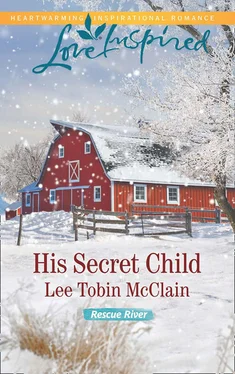 Lee McClain His Secret Child обложка книги