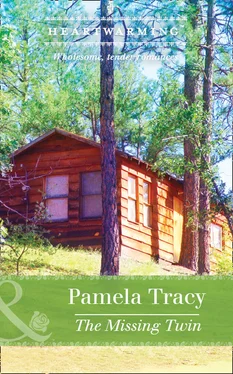 Pamela Tracy The Missing Twin обложка книги