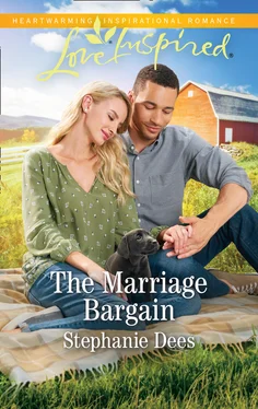 Stephanie Dees The Marriage Bargain обложка книги