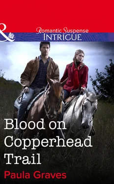 Paula Graves Blood on Copperhead Trail обложка книги