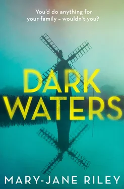 Mary-Jane Riley Dark Waters: The addictive psychological thriller you won’t be able to put down обложка книги