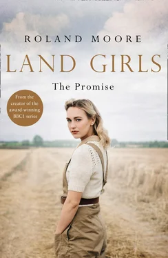 Roland Moore Land Girls: The Promise: A moving and heartwarming wartime saga обложка книги