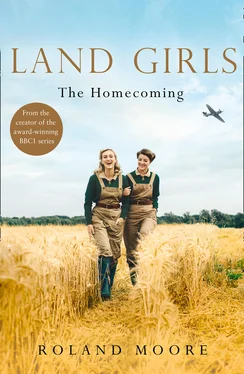 Roland Moore Land Girls: The Homecoming: A moving and heartwarming wartime saga обложка книги
