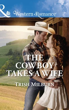 Trish Milburn The Cowboy Takes A Wife обложка книги