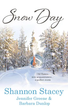 Jennifer Greene Snow Day: Heart of the Storm / Seeing Red / Land's End обложка книги