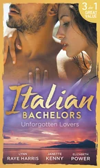 Elizabeth Power - Italian Bachelors - Unforgotten Lovers - The Change in Di Navarra's Plan / Bound by the Italian's Contract / Visconti's Forgotten Heir