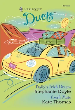 Stephanie Doyle Baily's Irish Dream: Baily's Irish Dream / Czech Mate обложка книги