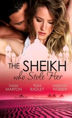 Dana Marton - The Sheikh Who Stole Her - Sheikh Seduction / The Untamed Sheikh / Desert King, Doctor Daddy