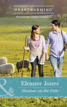 Eleanor Jones Shadow On The Fells обложка книги