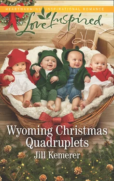 Jill Kemerer Wyoming Christmas Quadruplets обложка книги