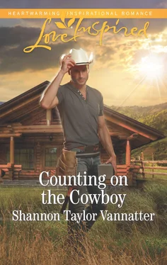 Shannon Vannatter Counting On The Cowboy обложка книги