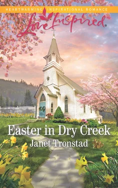 Janet Tronstad Easter In Dry Creek обложка книги