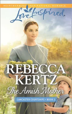 Rebecca Kertz The Amish Mother обложка книги