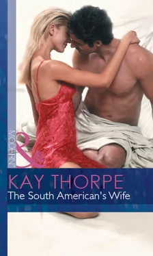 Kay Thorpe The South American's Wife обложка книги