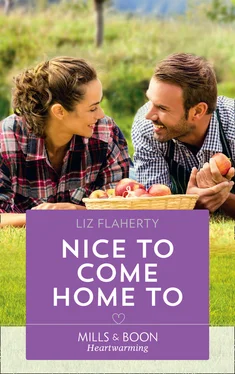 Liz Flaherty Nice To Come Home To обложка книги