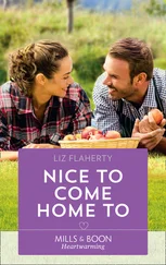 Liz Flaherty - Nice To Come Home To