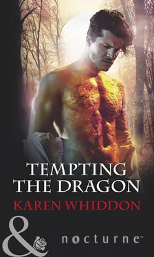 Karen Whiddon Tempting The Dragon